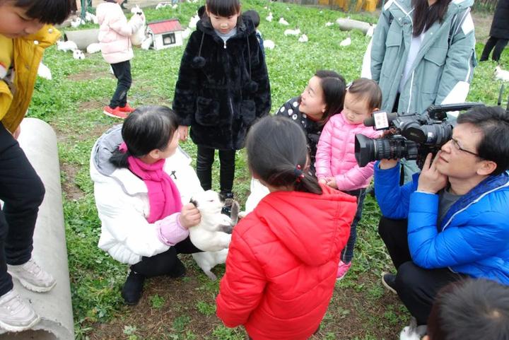 獭兔养殖骗局_致富经獭兔视频_獭兔致富经