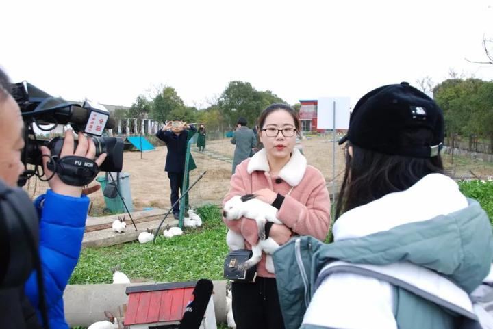 獭兔致富经_獭兔养殖骗局_致富经獭兔视频