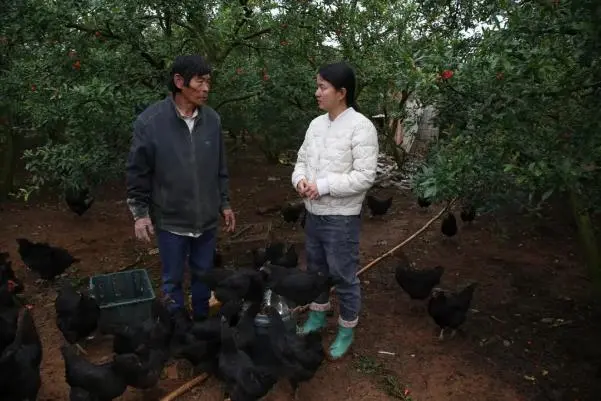 獭兔致富经_獭兔养殖致富的视频_致富经獭兔养殖视频