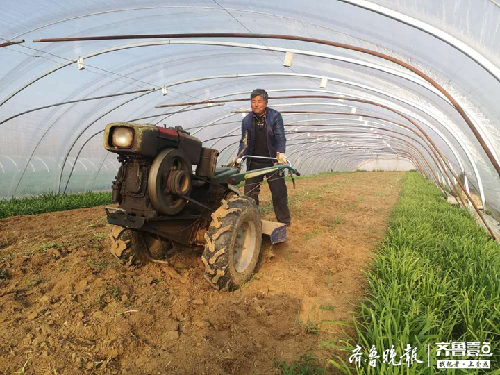 致富种植什么比较赚大钱_种植致富业_火爆种植致富经