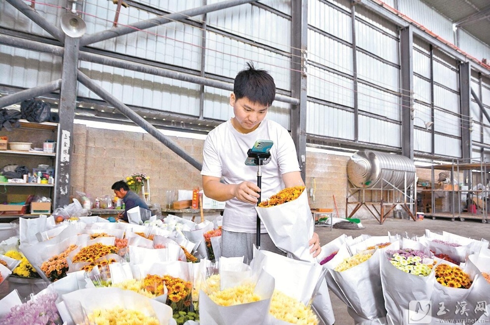 红色土壤种植致富_红色土地适合种植什么_致富种植红色土壤的意义