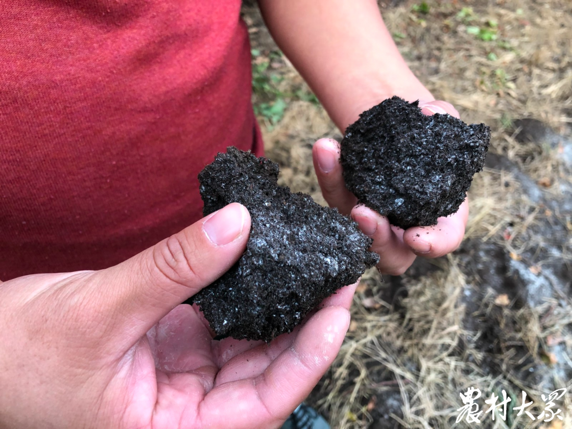 火爆种植致富经_种植致富新项目_致富种植视频全集