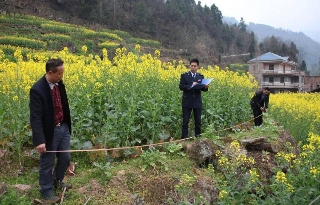 韶关种植葡萄致富_韶关葡萄园在哪里_韶关葡萄基地
