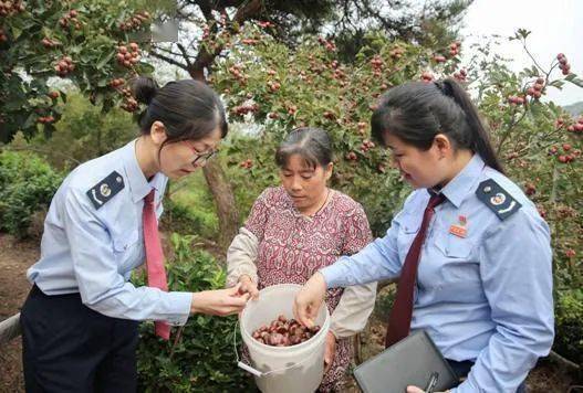 韶关种植葡萄致富_韶关葡萄园在哪里_韶关葡萄基地