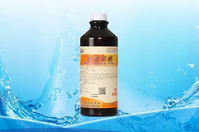 致富经牛蛙养殖_致富经黑斑蛙养殖_致富经养蛙视频全集