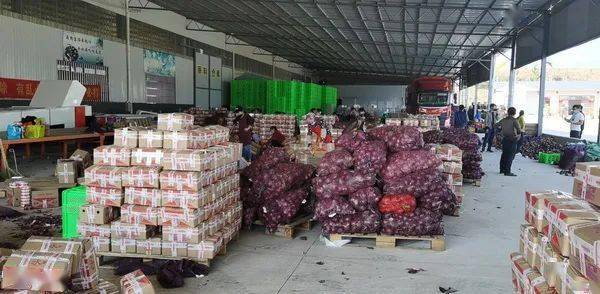 养殖致富项目蒙自_养殖致富项目一_致富养殖业