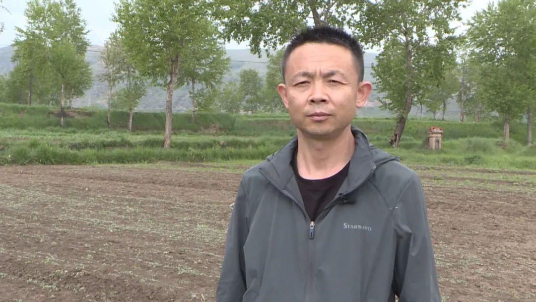 野菜种植创业_致富纪实野菜种植视频_种植野菜致富纪实