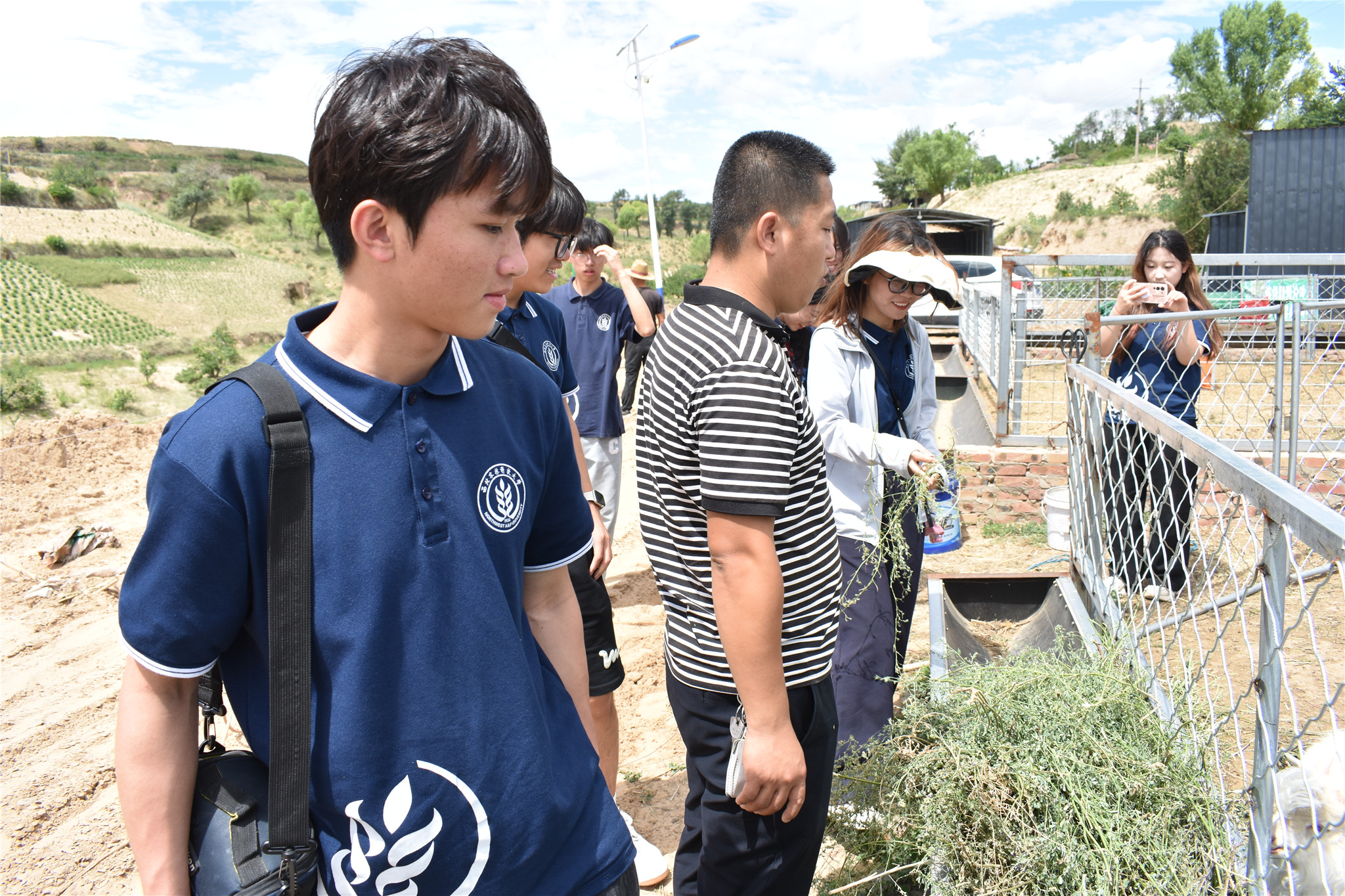 致富经山羊养殖技术视频_致富经山羊养殖_养山羊致富经视频播放