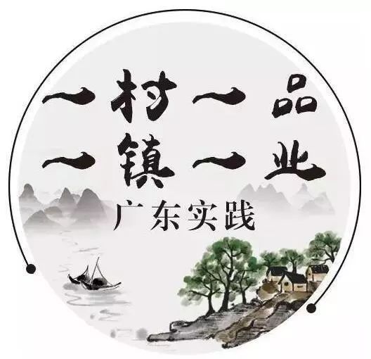 黄皮核怎样种_黄皮核能种吗_种植无核黄皮致富
