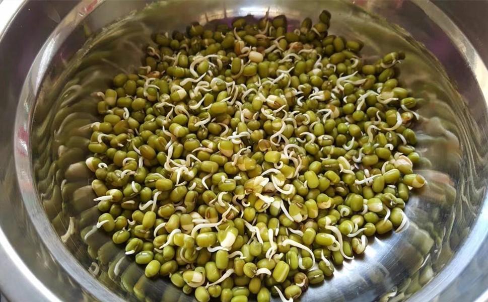 黑豆种植全过程视频_种植黑豆的方法_小黑豆种植技术