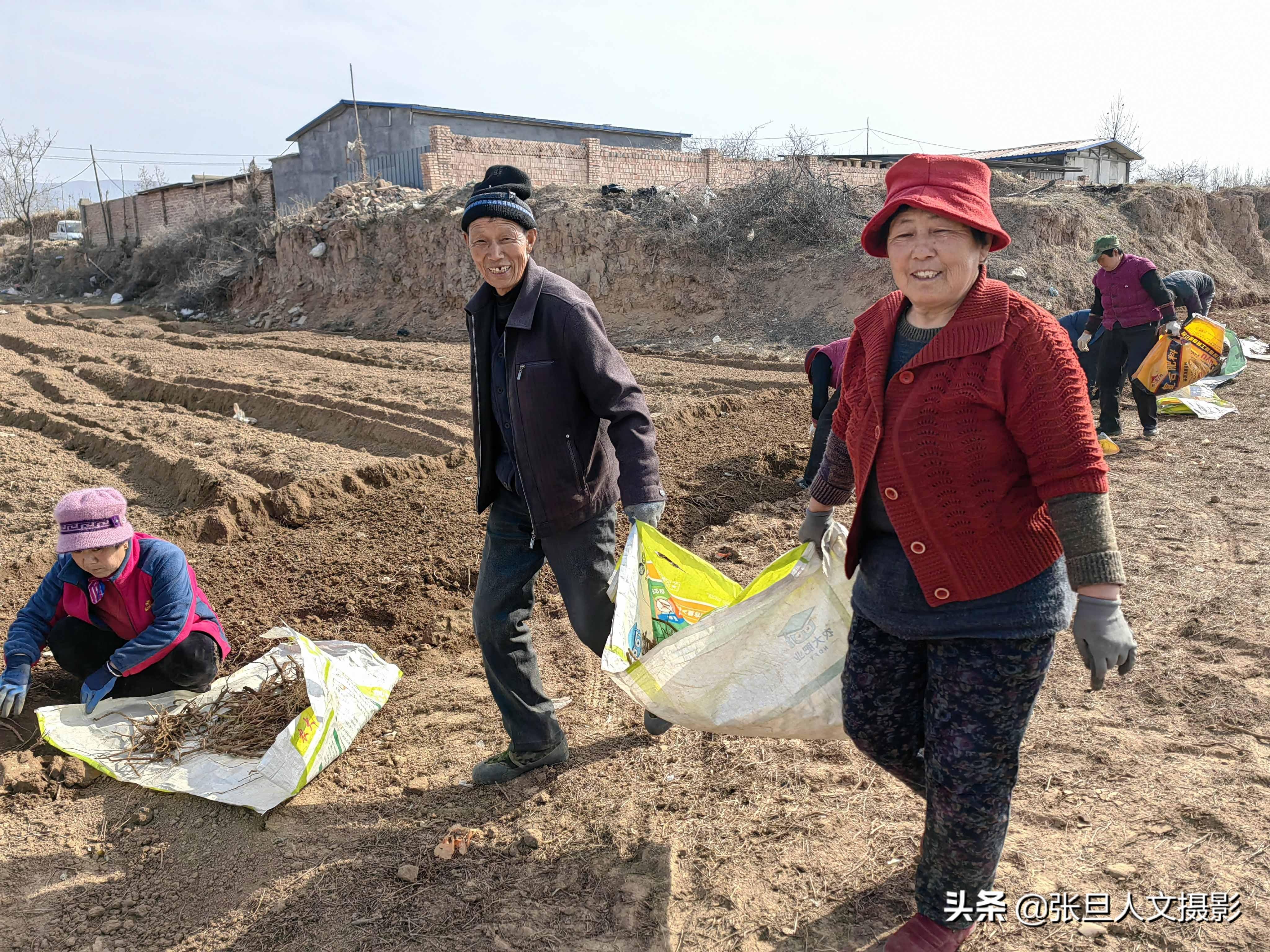 山西省种植什么_山西种植致富方法_山西种植什么最赚钱
