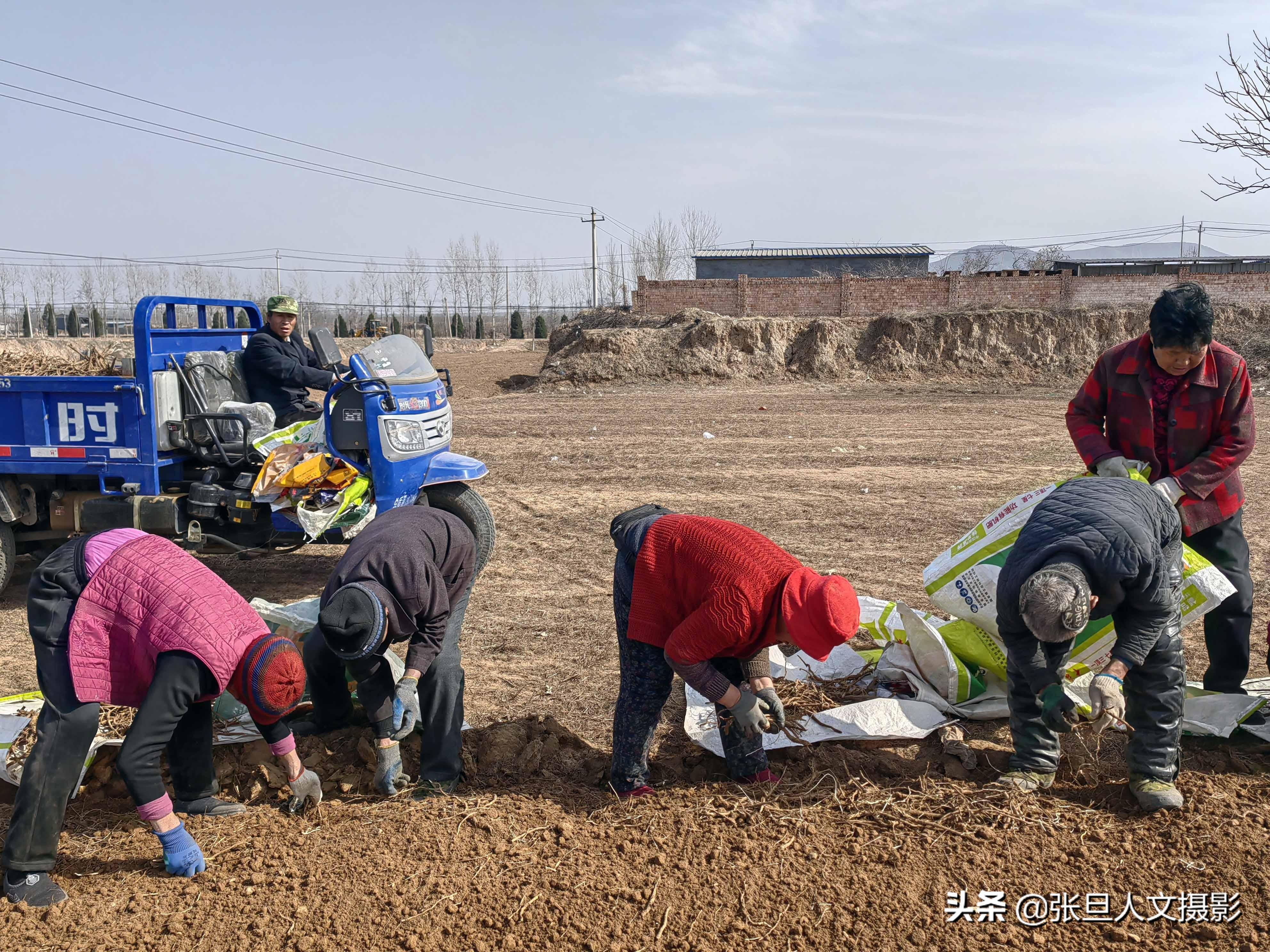 山西省种植什么_山西种植致富方法_山西种植什么最赚钱
