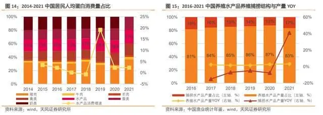 淡水鳗鱼养殖视频_养殖淡水鳗视频_鳗鱼淡水 养殖技术