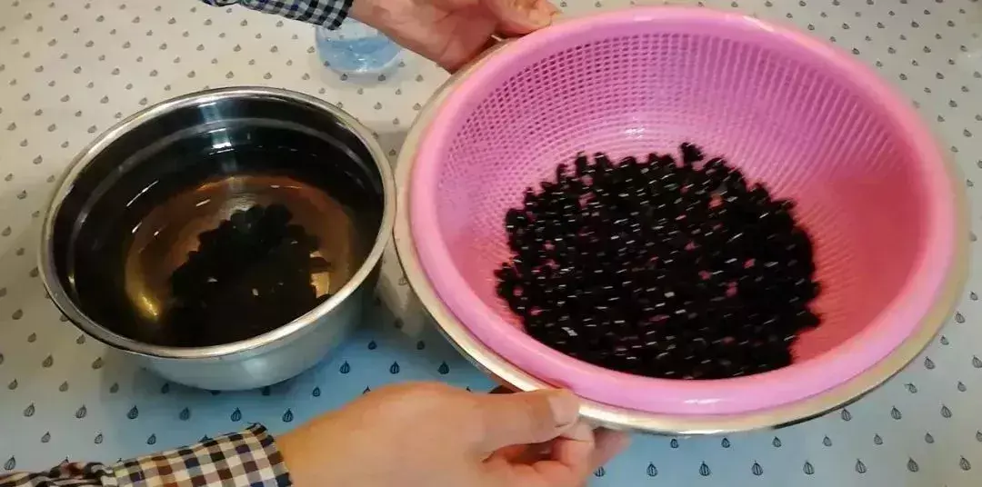 种植黑豆的方法_种植黑豆技术小结_小黑豆种植技术