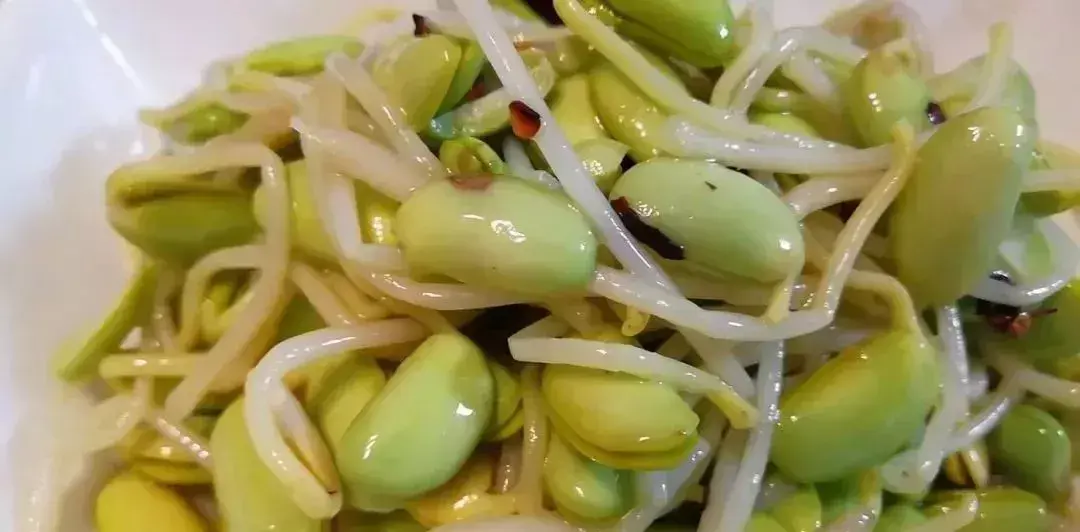 种植黑豆的方法_种植黑豆技术小结_小黑豆种植技术