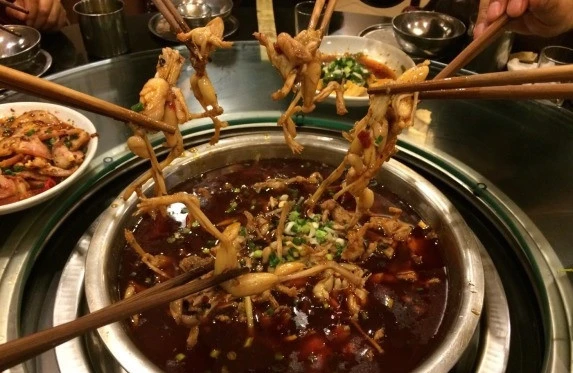 《致富经》  青蛙_《致富经》  青蛙_《致富经》  青蛙
