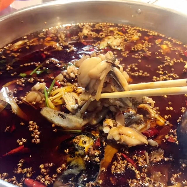 《致富经》  青蛙_《致富经》  青蛙_《致富经》  青蛙
