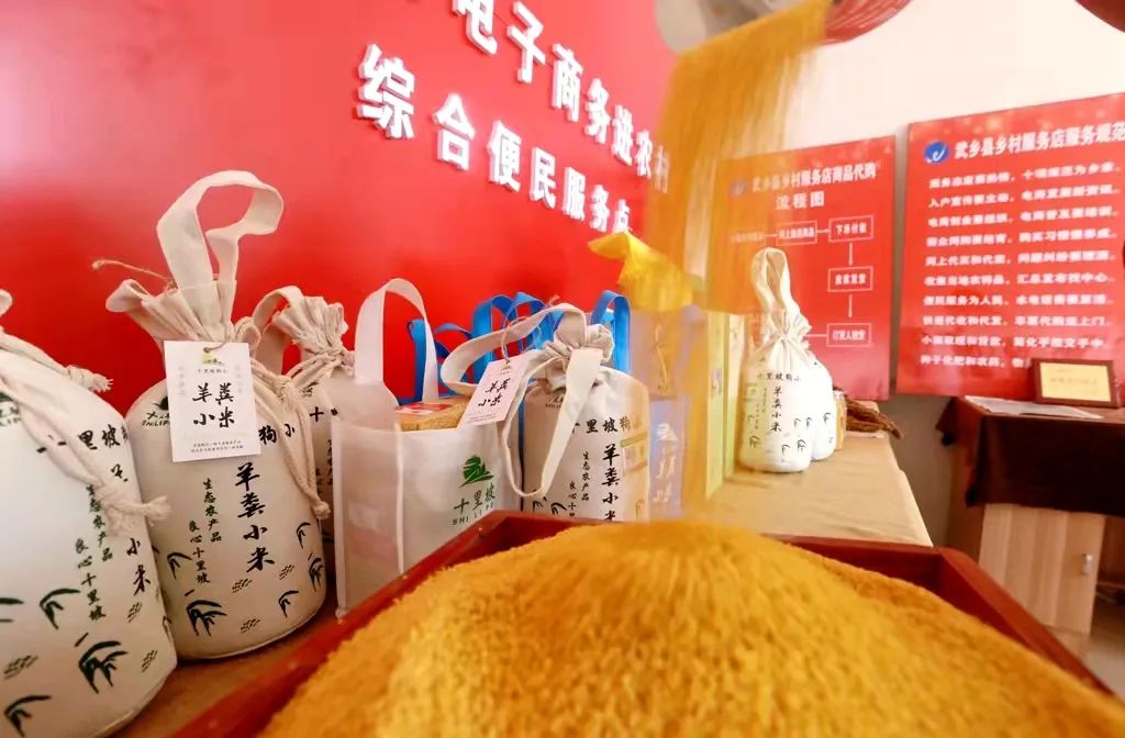 高产谷子种_致富经种谷子_种谷子赚钱吗