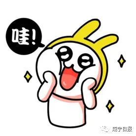 猪场养鱼视频_猪和鱼养殖技术_养猪鱼怎么玩