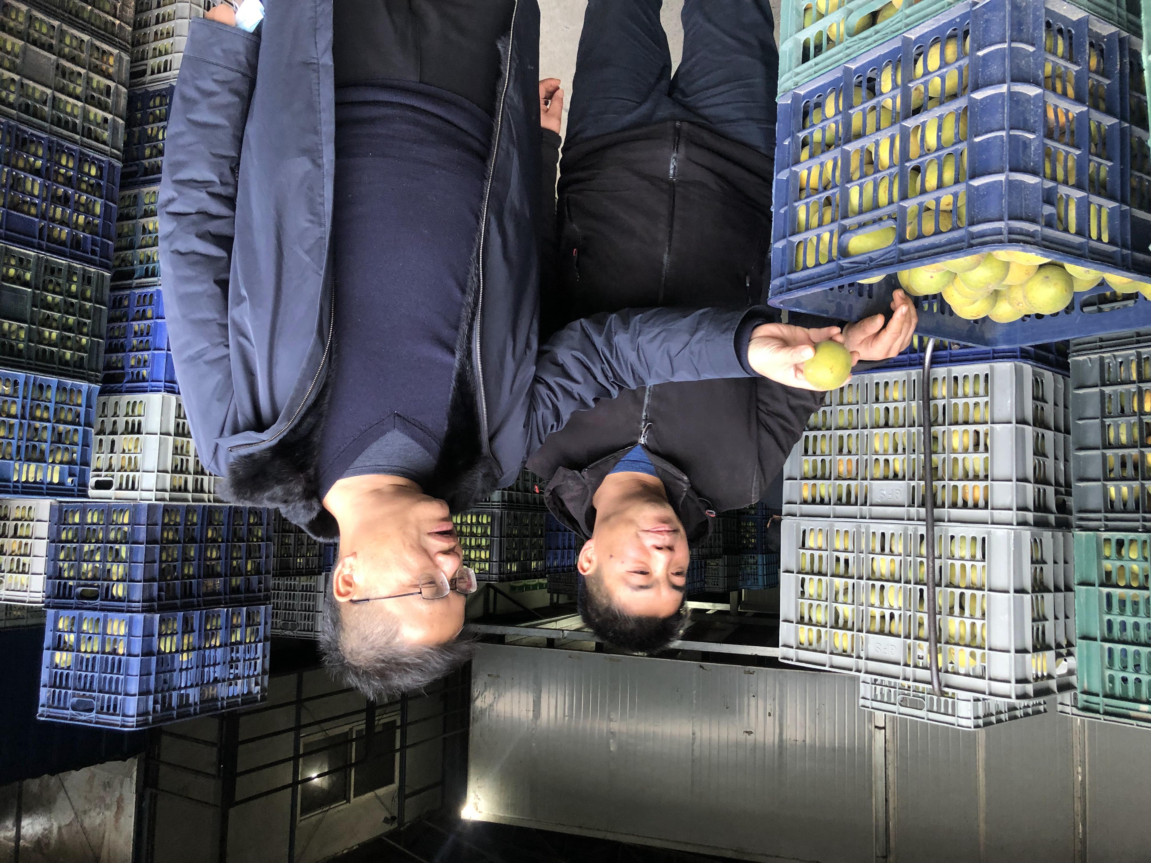 广西龙胜县罗汉果产业发展 农户致富心里甜