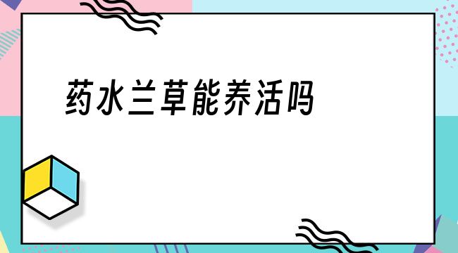 药水兰草能养活吗