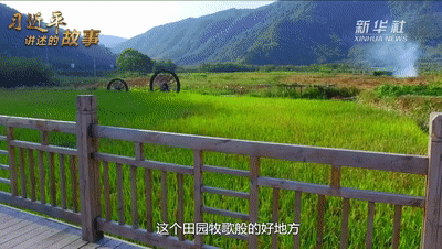 无腿硬汉养羊致富视频_郭旗致富经视频_养鱼致富视频