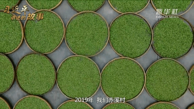 郭旗致富经视频_无腿硬汉养羊致富视频_养鱼致富视频