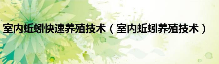 室内蚯蚓快速养殖技术（室内蚯蚓养殖技术）
