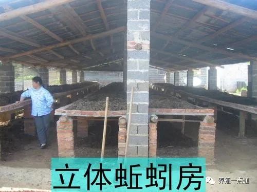 养殖蚯蚓怎么赚钱_致富 蚯蚓养殖技术_致富养殖蚯蚓技术视频
