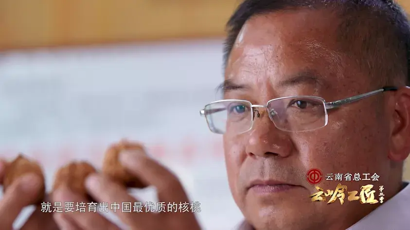 致富核桃种植方法_核桃种植收益怎么样_致富经种植核桃