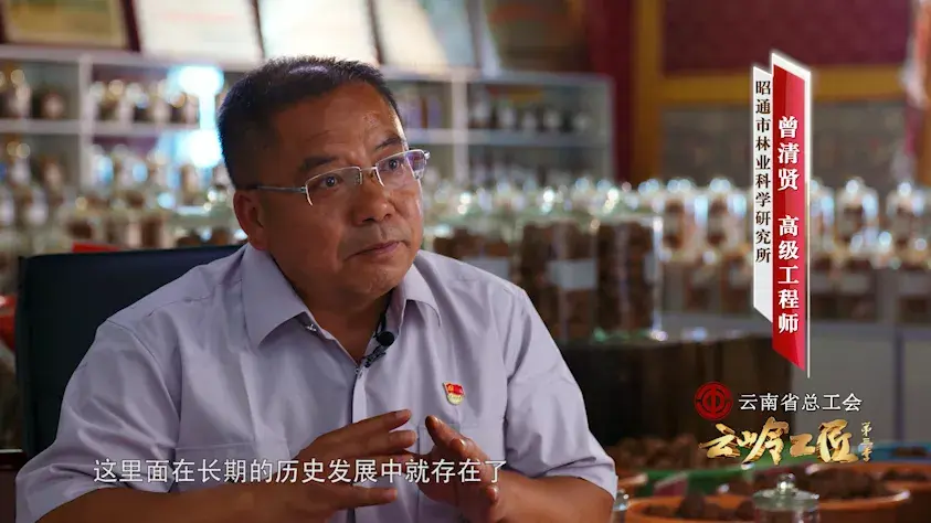 致富经种植核桃_致富核桃种植方法_核桃种植收益怎么样
