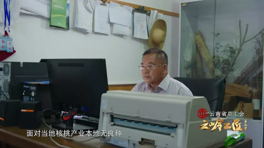 核桃种植收益怎么样_致富经种植核桃_致富核桃种植方法