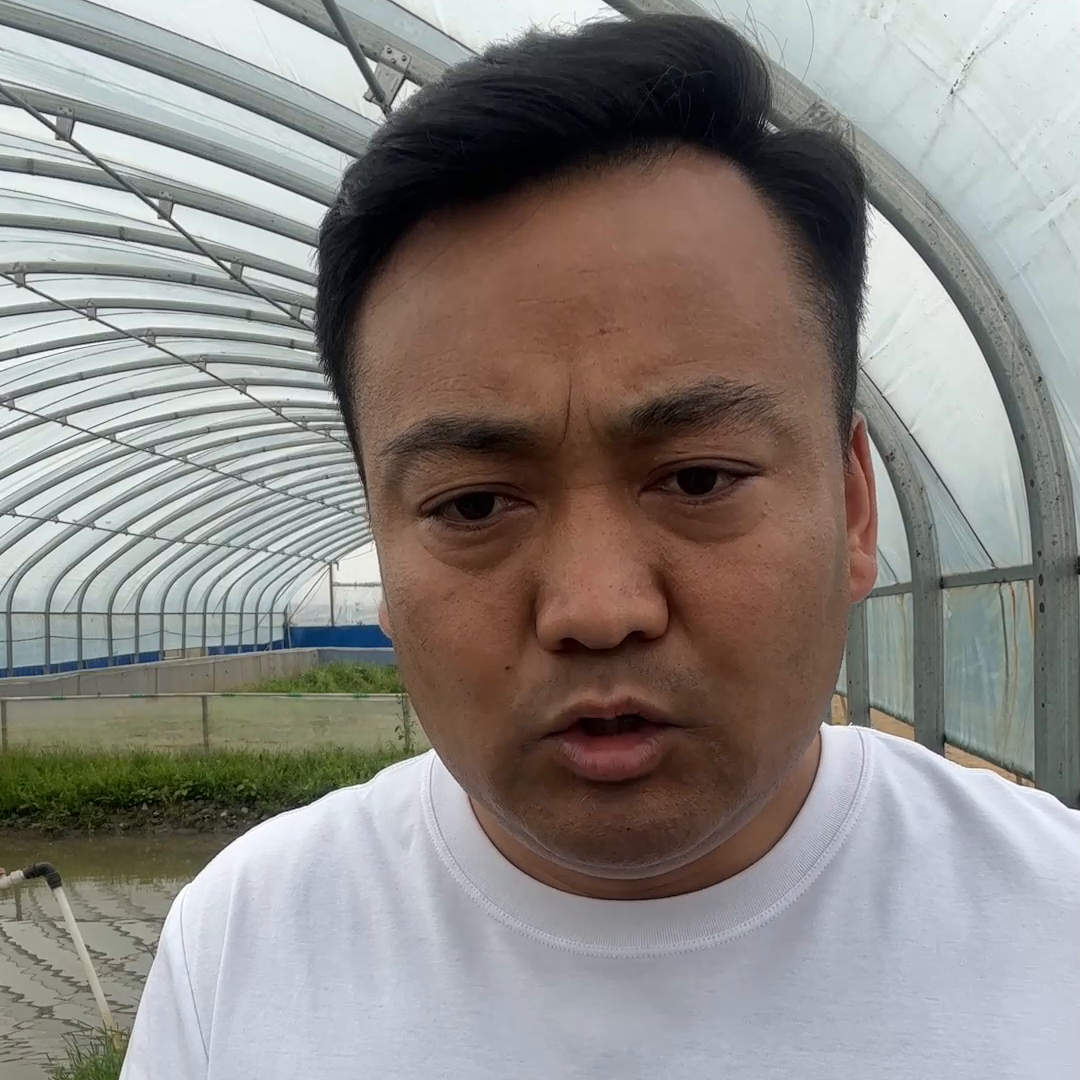 蟾蜍怎么养殖技术_蟾蜍怎么养殖技术_蟾蜍怎么养殖技术