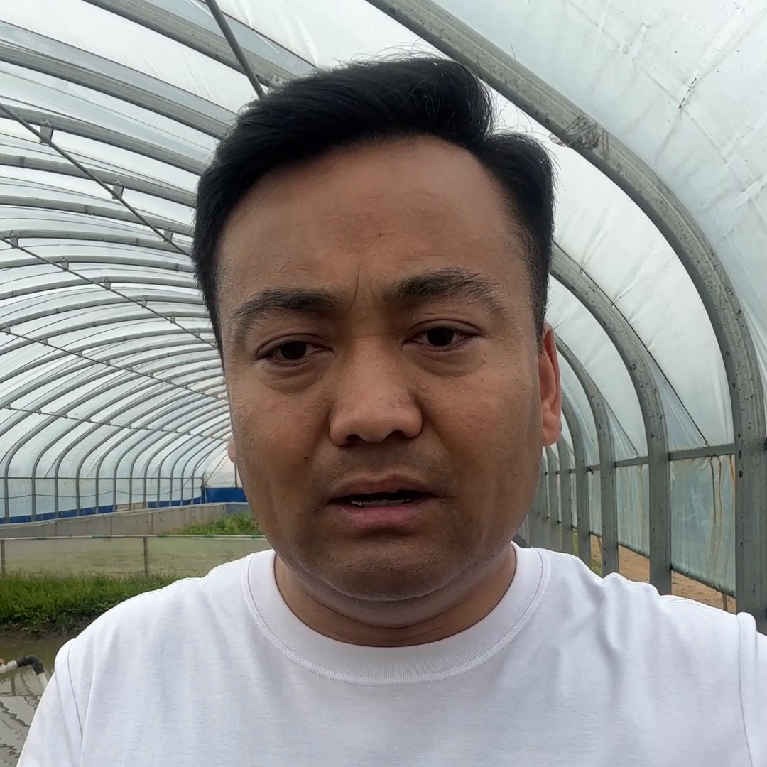 蟾蜍怎么养殖技术_蟾蜍怎么养殖技术_蟾蜍怎么养殖技术