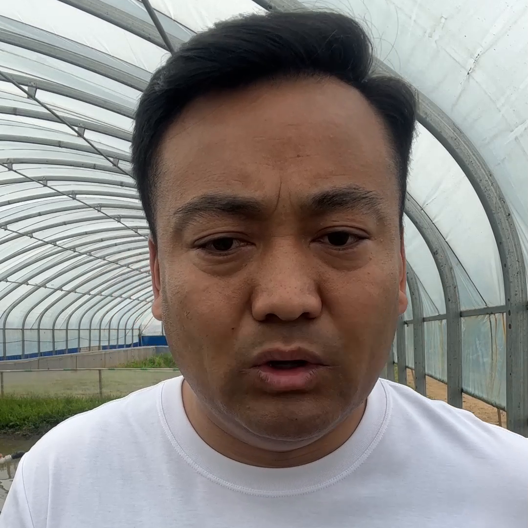 蟾蜍怎么养殖技术_蟾蜍怎么养殖技术_蟾蜍怎么养殖技术