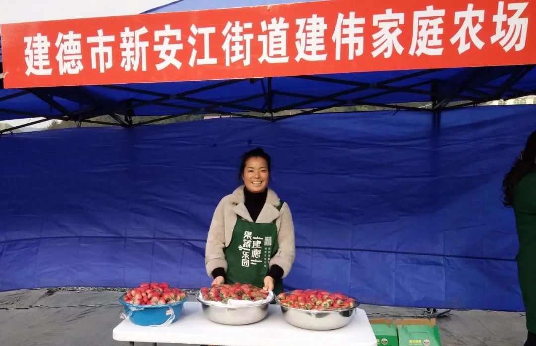 致富种植什么比较赚大钱_科学种植致富_种植致富经