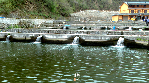 汉中养殖业加盟_汉中市养殖技术_汉中养殖致富企业