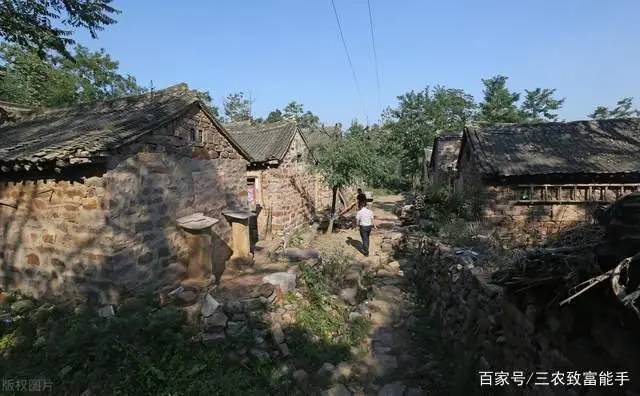 吉林农村养殖好项目_吉林养殖致富项目_吉林养殖业什么最赚钱农村