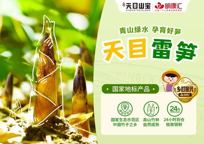 又是一年吃笋季，临安“天目雷笋”在明康汇热销