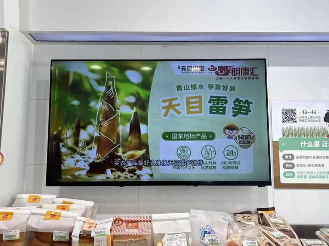 雷竹笋种植技术视频_种植雷笋致富_雷竹笋亩产量