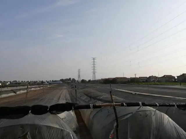 生姜大棚栽培技术视频教程_致富经大棚生姜种植_致富生姜大棚种植视频