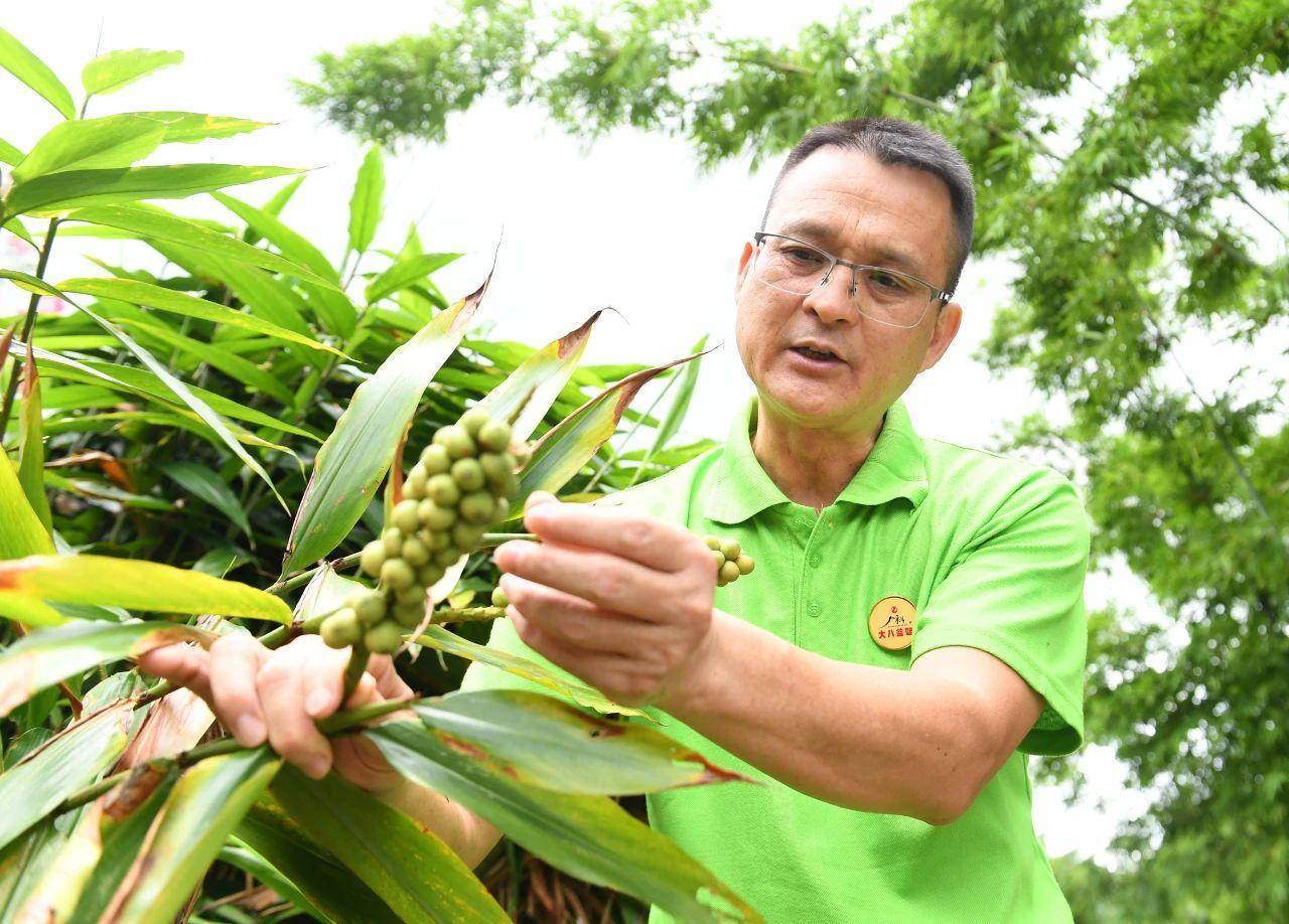 潮州蔬菜种植基地_潮州适合种植什么药材_潮州种植致富