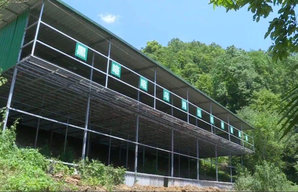汉中养殖基地_汉中养殖业加盟_汉中养殖致富企业