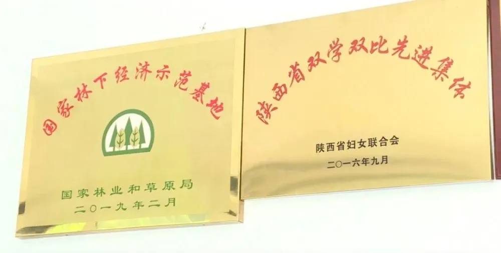 汉中养殖致富企业_汉中养殖业加盟_汉中养殖基地