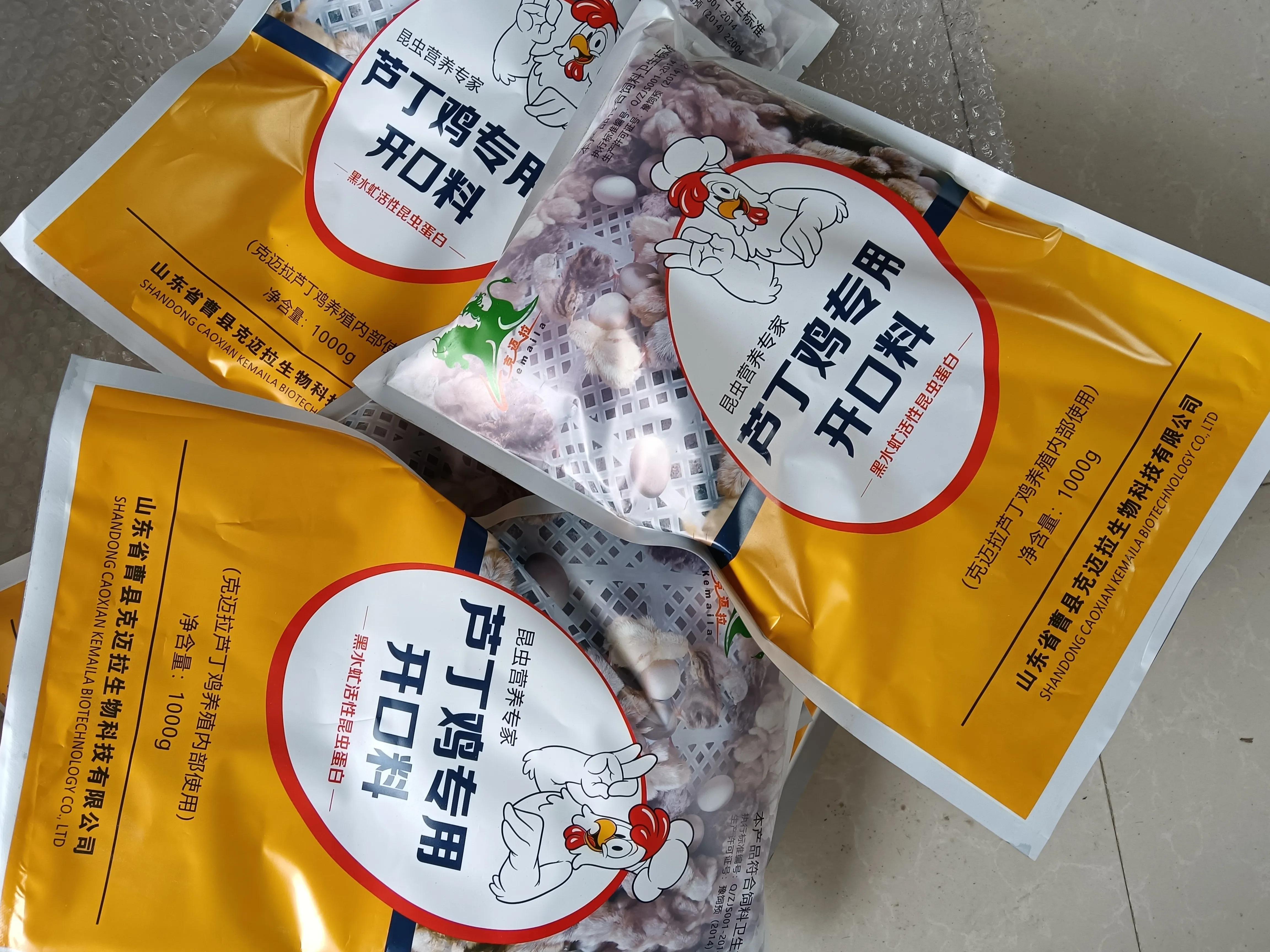 黑水虻养鸡能节约多少饲料_致富经养鸡黑水虻视频_养黑水虻喂鸡的效益