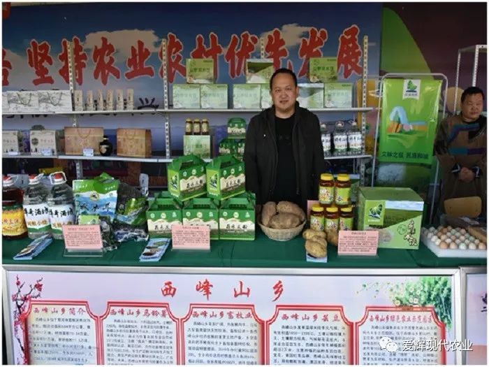 滑子蘑养殖技术_滑子蘑的种植技术_滑子蘑养殖前景怎么样