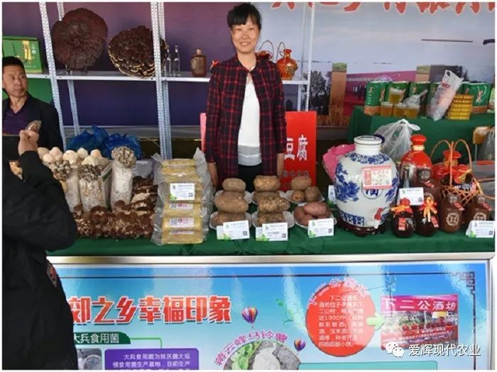 滑子蘑的种植技术_滑子蘑养殖前景怎么样_滑子蘑养殖技术