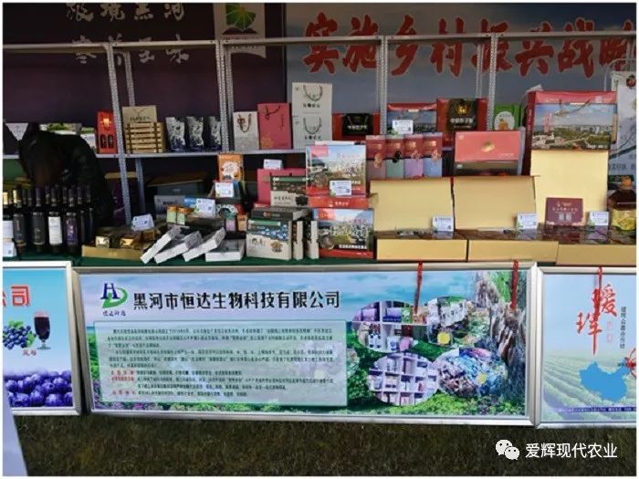滑子蘑养殖前景怎么样_滑子蘑的种植技术_滑子蘑养殖技术