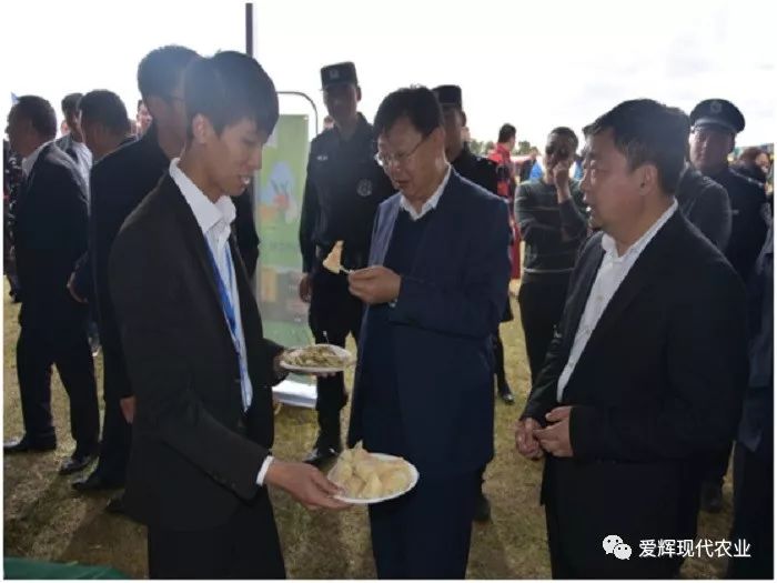 滑子蘑养殖技术_滑子蘑养殖前景怎么样_滑子蘑的种植技术