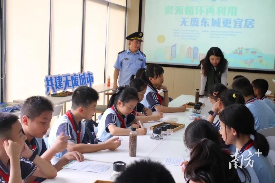 黑水虻养鸡的经济效益_致富经养鸡黑水虻视频_养黑水虻喂鸡的效益